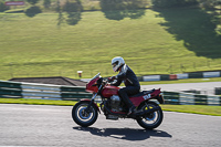 Vintage-motorcycle-club;eventdigitalimages;mallory-park;mallory-park-trackday-photographs;no-limits-trackdays;peter-wileman-photography;trackday-digital-images;trackday-photos;vmcc-festival-1000-bikes-photographs